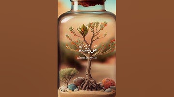 تلاوة قرانيه تريح القلب والنفس من سورة النور بصوت القارئ الشيخ ياسر الدوسري