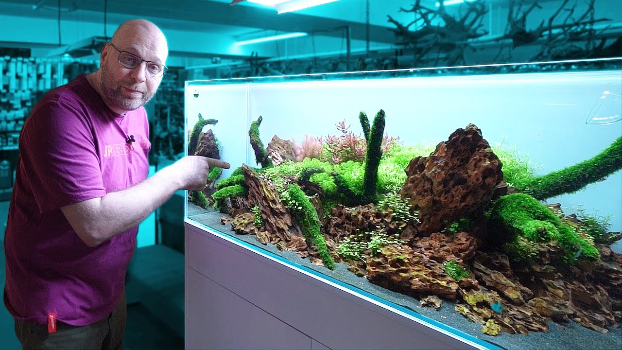 Die ERSTEN FISCHE für das MOOSAQUARIUM 🐟