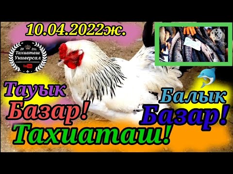 Video: Таймактын таза баасы: Wiki, үй-бүлөлүү, үй-бүлө, үйлөнүү үлпөтү, маяна, бир туугандар