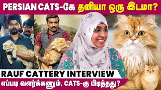 Persian Cat ரொம்ப Clean Water தான் குடிக்கும் | Rauf Cattery Interview