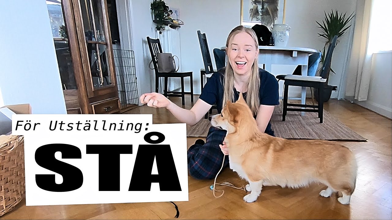 Månadens Trick Februari - STÅ - som på utställning