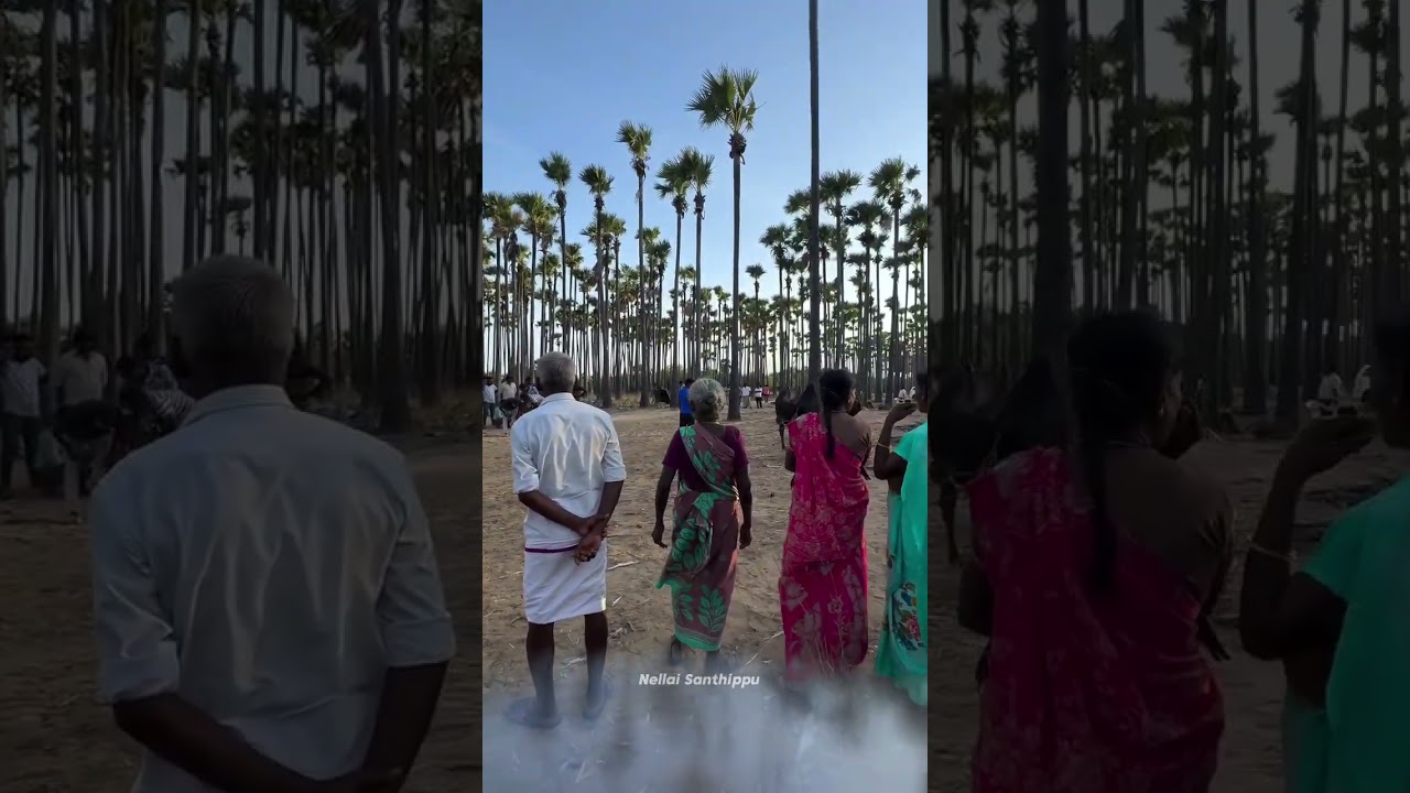 Actor Vimal Movie Shooting In Tirunelveli  