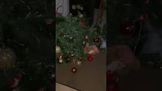Cat Clings to Christmas Tree Before It Topples Over