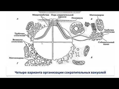 Videó: Különbség Az ER Diagram és Az Osztály Diagram Között