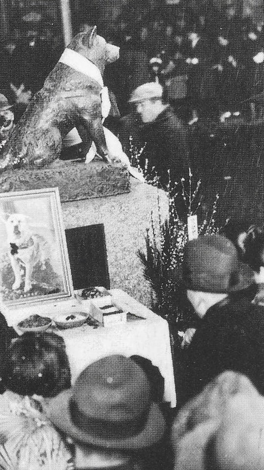 Aquí es la tumba del famoso perrito japonés Hachiko ???