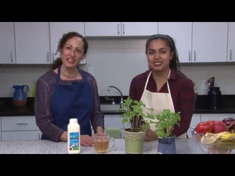 BeachTV Libby's Kitchen 05 - Herbs & Sauces