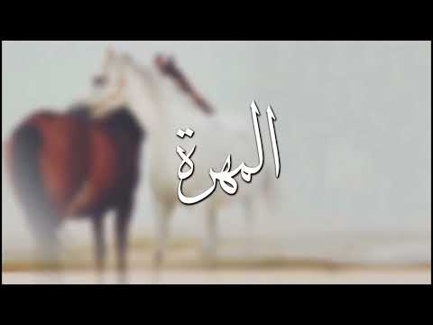 شيلة حماااسية روعة لولشي والعبي عبدالله ال حبتر 