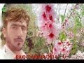BAKHT MUNIR 2014