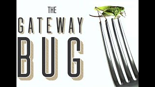 The Gateway Bug Trailer - Streaming Now On Newyonder