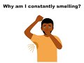 Why Do You Still Have Body Odor Even After Bathing?