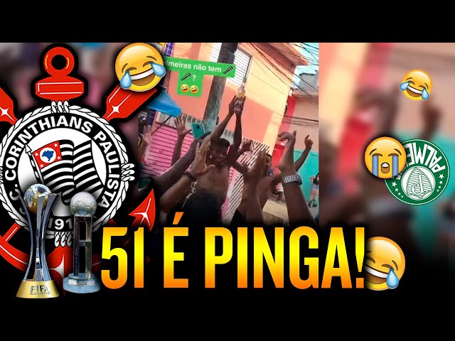 coisas que o palmeiras nao tem｜Pesquisa do TikTok