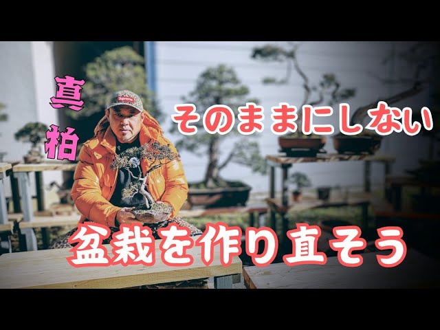 造園植栽術 This video is about having fun recreating bonsai. 