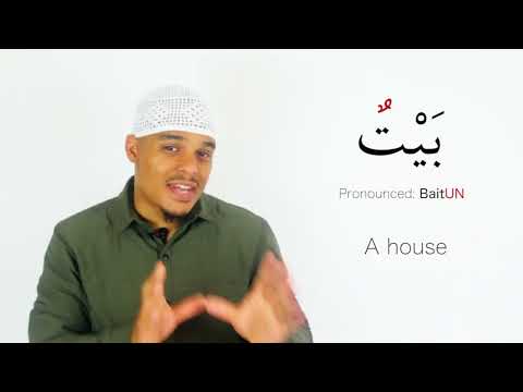 Study Buddy Introduction 01