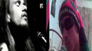 Arvore do Reggae - Ponto de Equilibrio