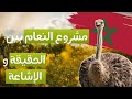 مشروع تربية النعام في المغرب بين الحقيقة والإشاعة
