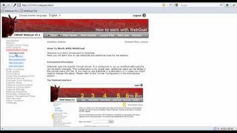 Owasp - WebGoat  - Multi Level Login