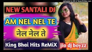 Aam Nel Te||New Santhali Dj Song 2022||Santhali Video Song 2022||Dj Mahaveer jitan Vijay||