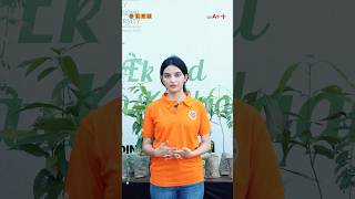 🌱 World Environment Day at LPU | Greener Campus, Brighter Futures @LPUUniversity