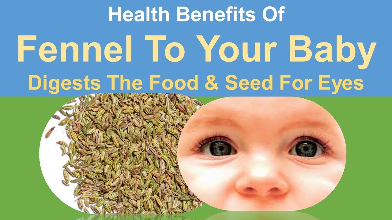 Health benefits of giving fennel to your baby Digests The Food. & The