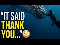 The Whale Who Thanked Her Rescuer 🐋💙 (Real Story)