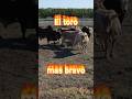 El toro mas bravo #jaripeo #montadetoros #toros #toro #videosdetoros #jaripeos