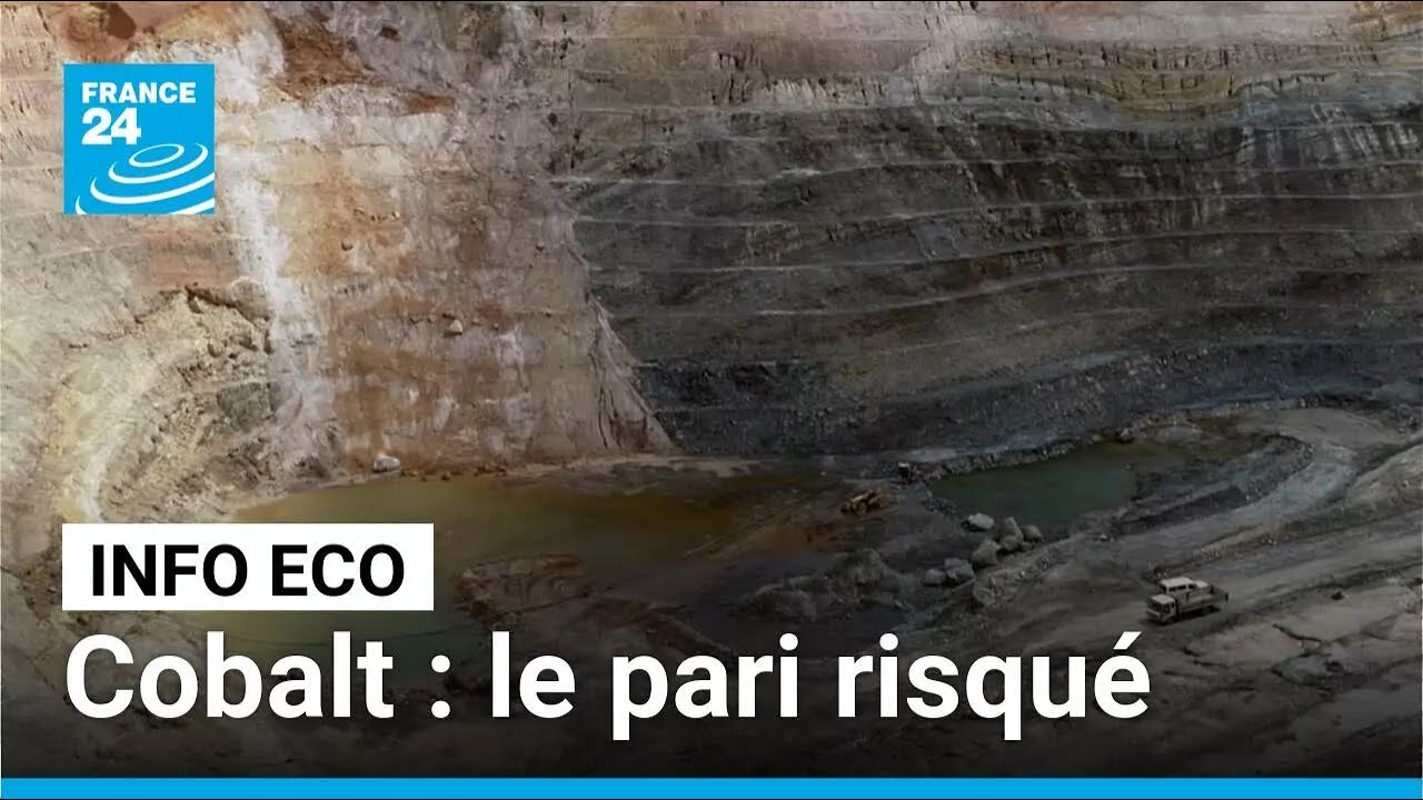 Cobalt : le pari risqué de la RDC • FRANCE 24
