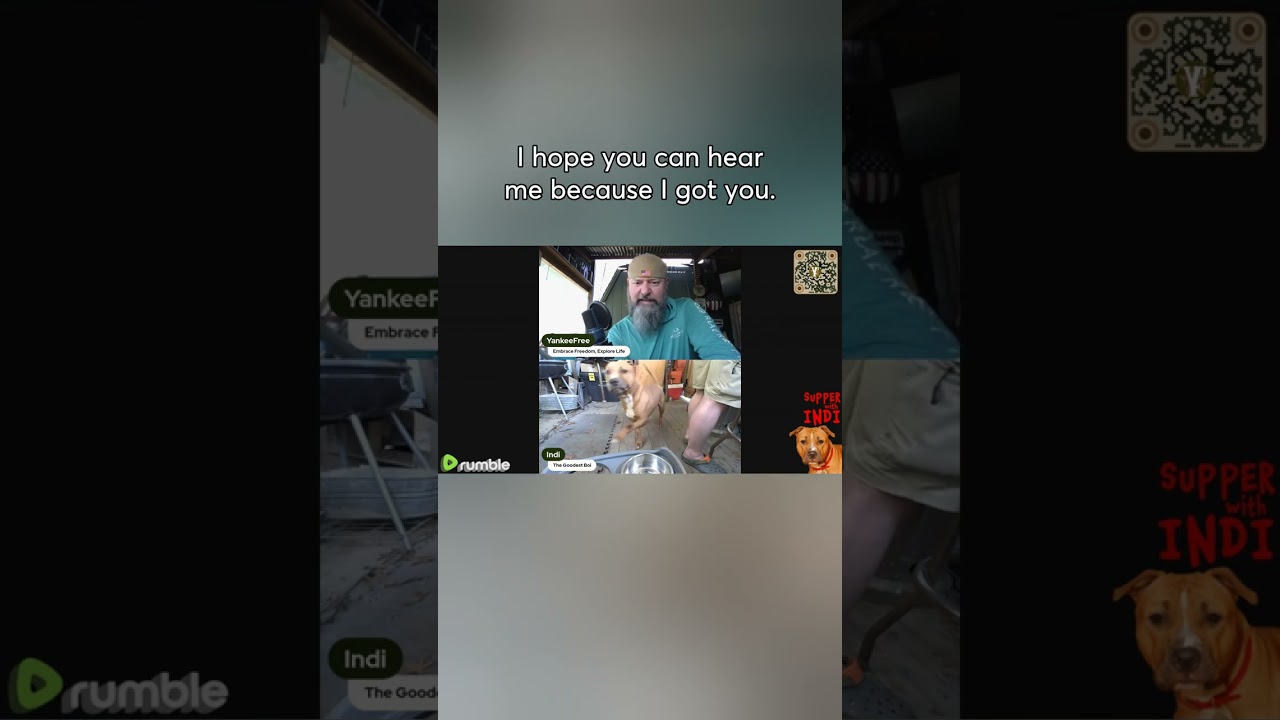 To the LEFT! 1 Hop! #dog #live #livestream #youtubeshorts #yankeefree #podcast