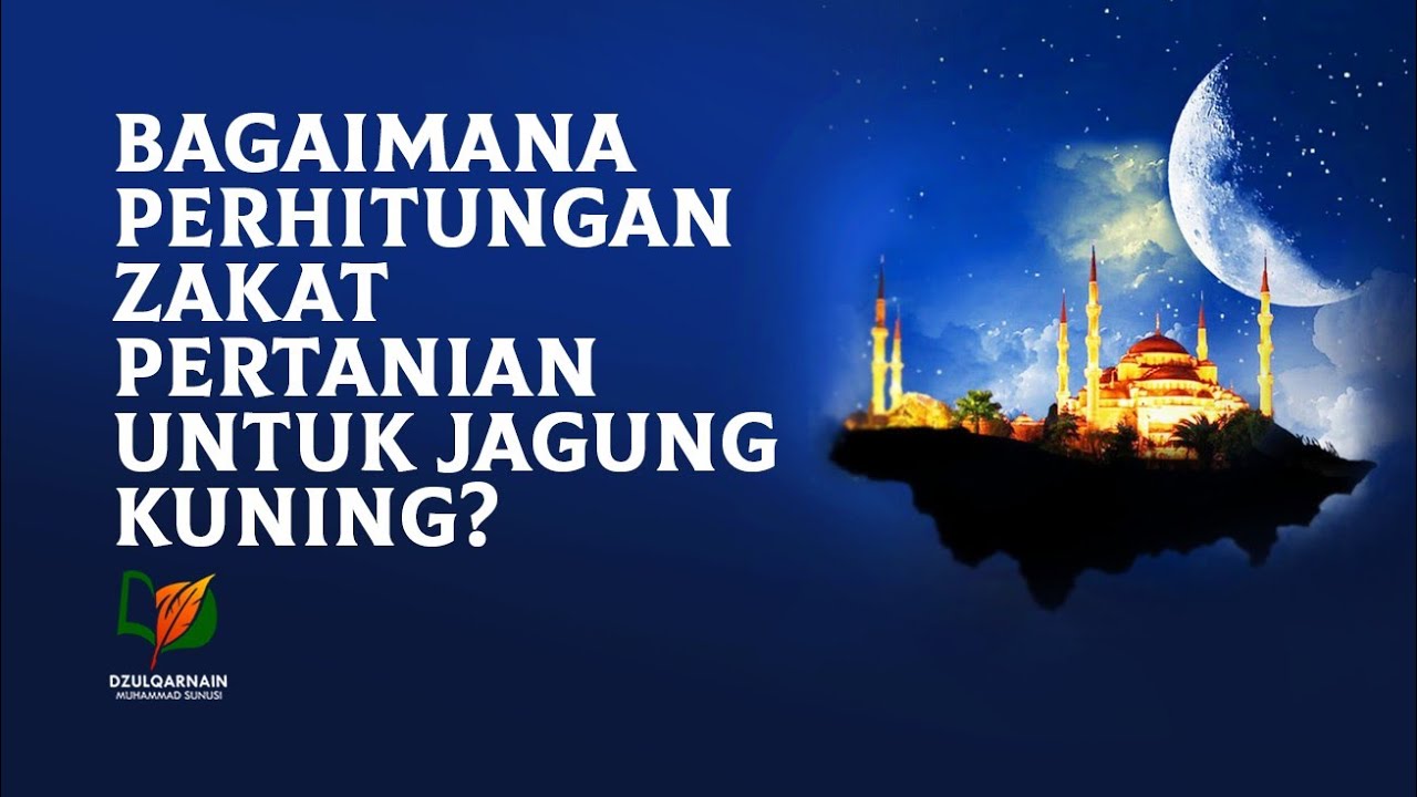 Bagaimana Perhitungan Zakat Pertanian Untuk Jagung Kuning Youtube