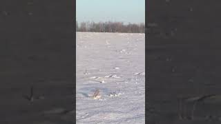 IMG 9714