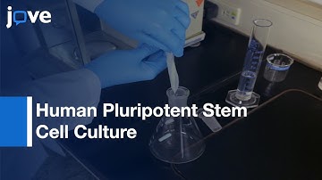 Polyvinyl Alcohol-Co-Itaconic Acid Hydrogels With Varying Stiffness l Protocol Preview