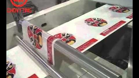 CW-800ZD soft loop handle bag making machine