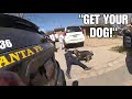 Officer Attacked By K9 During Chaotic Standoff