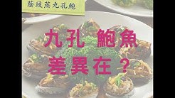 欣葉國際餐飲集團 Youtube 欣葉國際餐飲集團 Youtube