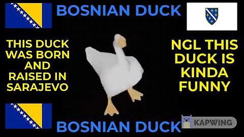 Bosnian Duck - The Arabic Mafia. a.k.a the one who murdered the dancing dorito