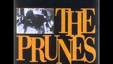 The Prunes - Theme pt. 2 (Some Real Schitt)