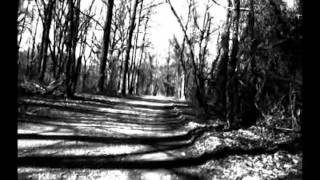mazes, mansions and fences. philly's fairmount park