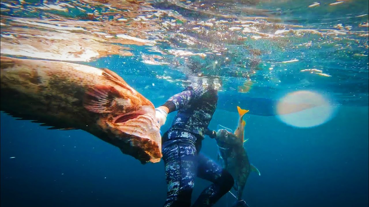 INTENSE and HUGE CATCH and rare footage of sharks attack our catch Lapu INTENSE and HUGE CATCH and rare footage of sharks attack our catch Lapu