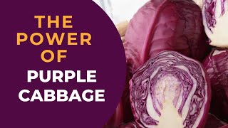 Purple Power: Incredible Health Benefits Of Purple Cabbage|
