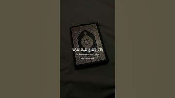 اكتب شيء تؤجر عليه 😴🤎 اذكر الله يذكرك #قران كريم بصوت القارئ ياسر الدوسري