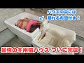 【サビちゃんにも掛け布団の暖かさを】全身しっかり暖まる冬用猫ハウスがやっと完成しました