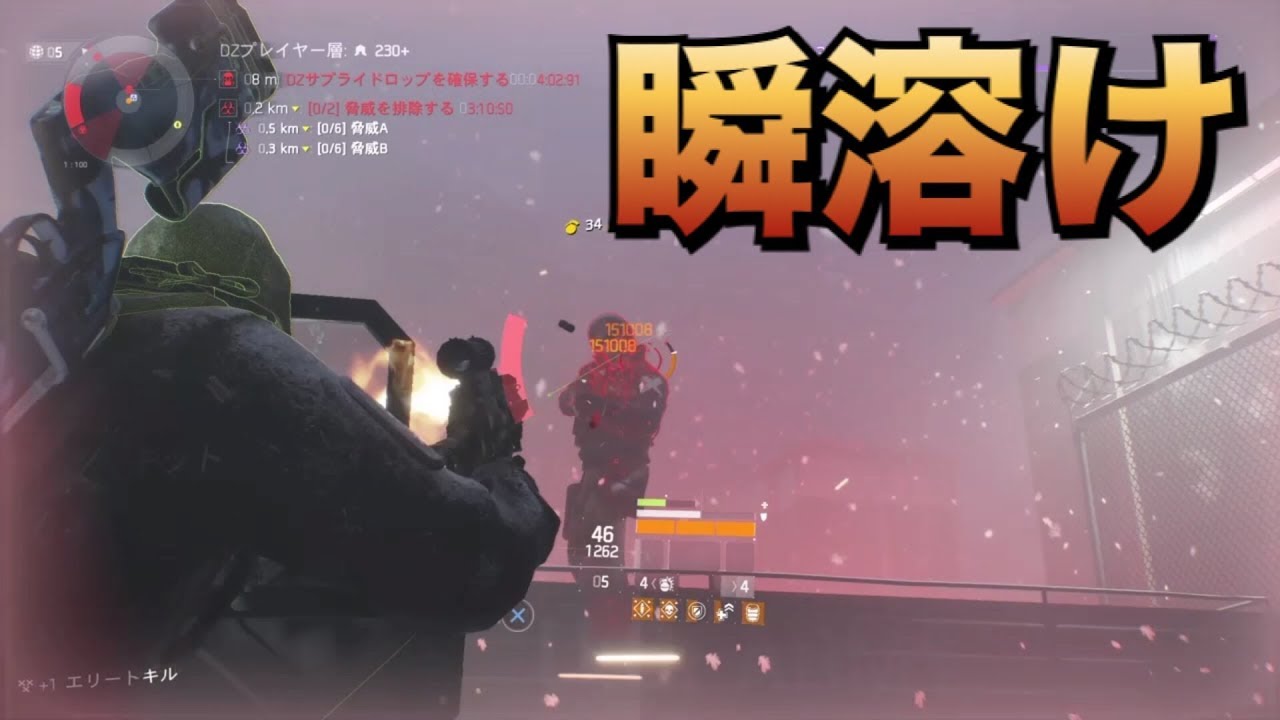 ディビジョン 瞬溶け D3 ストライカー ニンジャ 敵アーマーダメージ盛り ビルド紹介 Division 1 7 Youtube