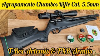 AGRUPAMENTO CARABINA PCP T-REX 5.5MM COM CHUMBOS RIFLE DESTROYER, RIFLE ROUND E RIFLE DOME