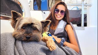 Sea of Cortez Crossing - Onboard Lifestyle ep.212