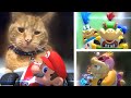 Mario Kart Live Home Circuit Vs Cat Bros, Bowser Jr. & The Koopalings Bosses