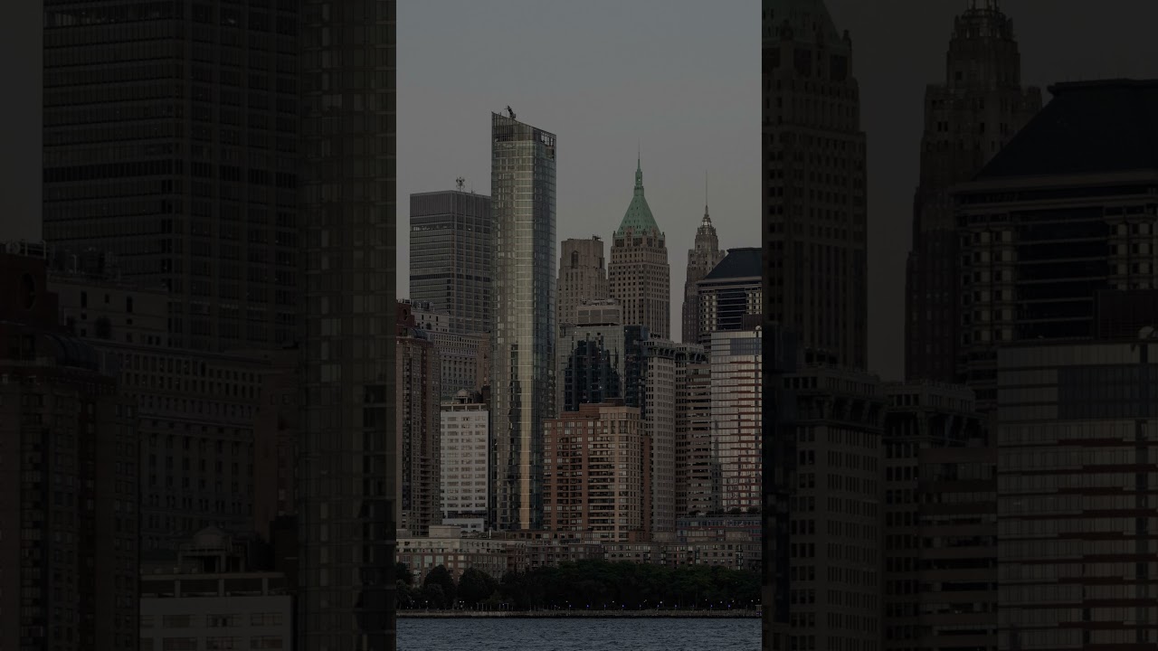 Numpy Labs registered as LLC in the United States