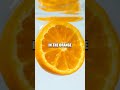 The Buoyant Orange - Exploring Density and Buoyancy