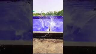 Prank went wrong in swimming pool ✋😂#shorts #tiktok