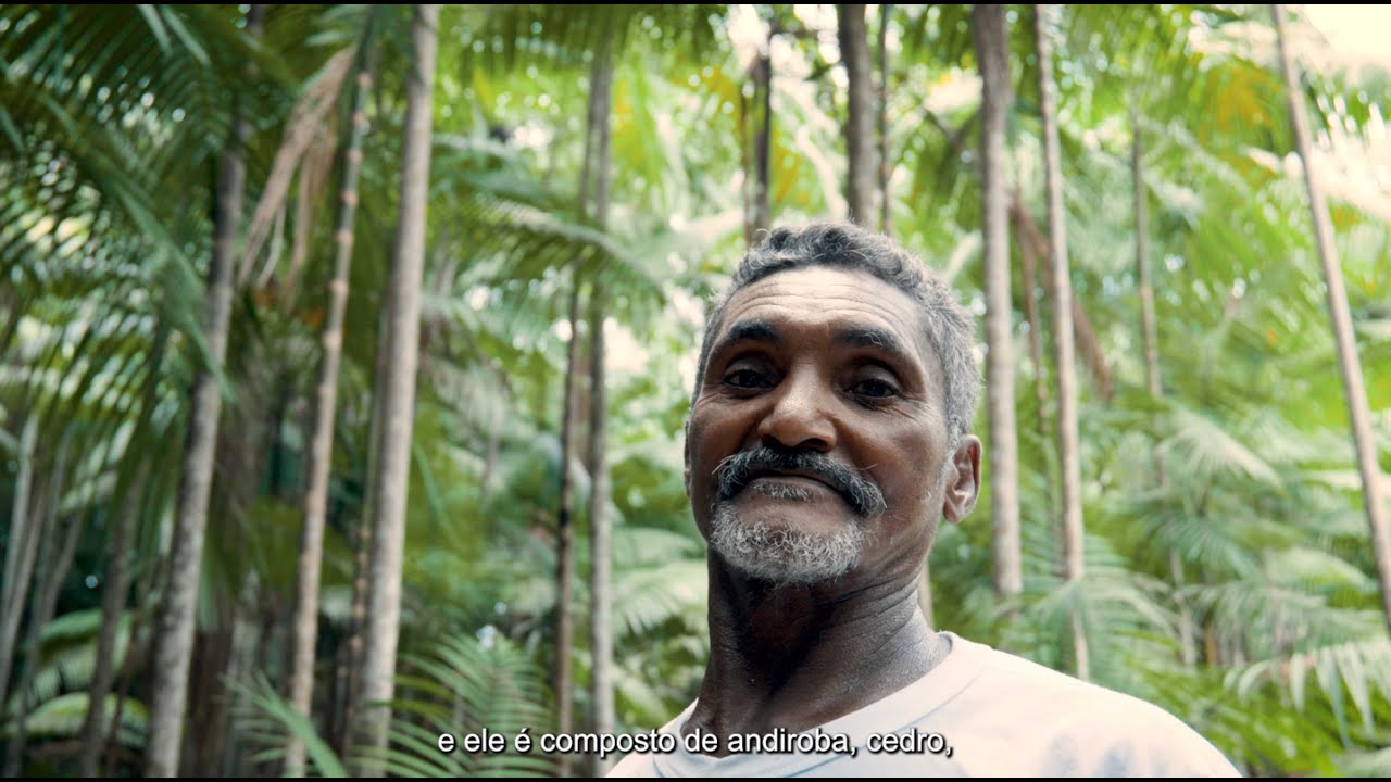 Somos a Floresta - YouTube