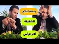 أسهل وصفة لعلاج الشقيقة آلام الرأس مجانا مع محمد زين الدين 