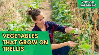 29 Vegetables That Grow On Trellis | Vertical Gardening | Climbing Vegetables